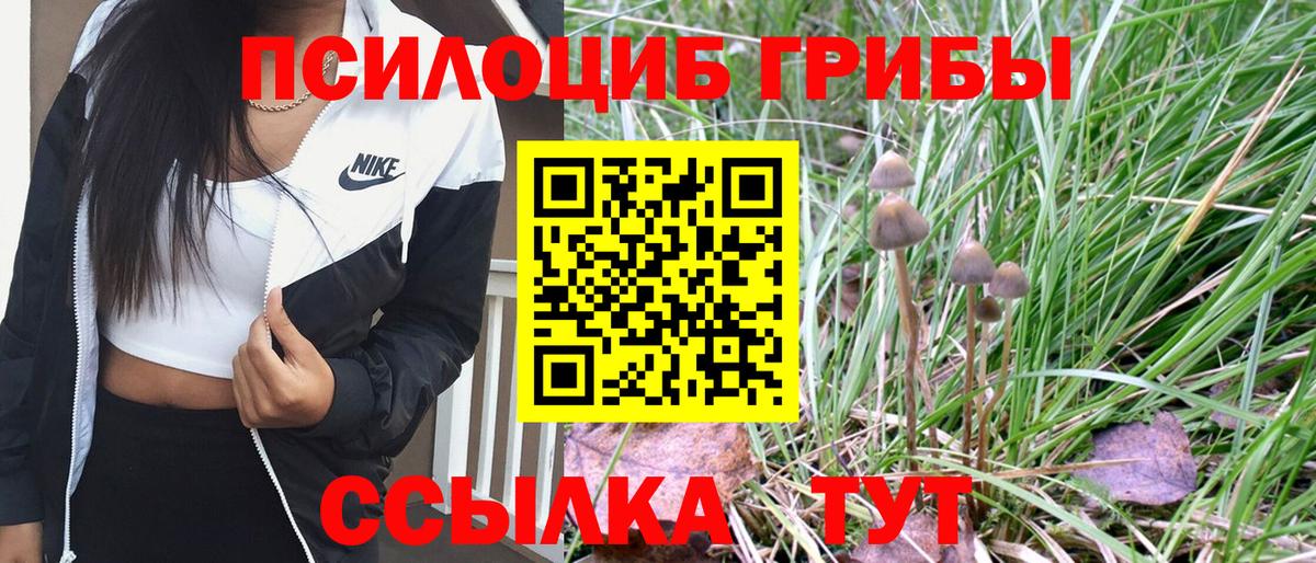 Чернушка  Псилоцибиновые грибы Psilocybe  Вход с VPN  Галлюциногенные грибы Magic Shrooms 