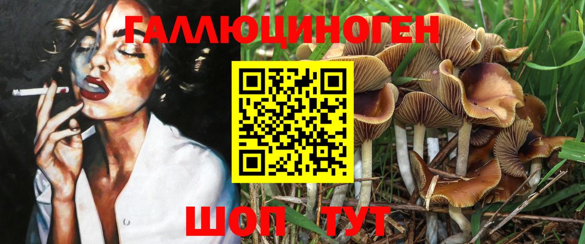 Псилоцибиновые грибы Psilocybine cubensis Чернушка